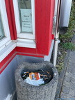 IMG 0422