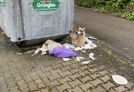 IMG 1337