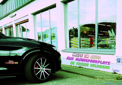 outsiderblog-made-im-auto-auf-hundeparkplatz