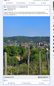 swt-projekte-petrisberg-aussicht