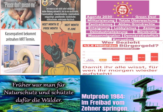 waehlen-agenda