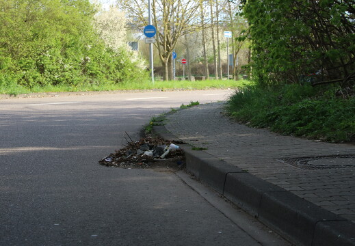 IMG 8386-2