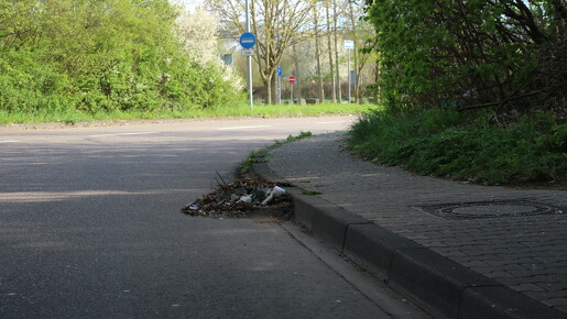 IMG 8386-2
