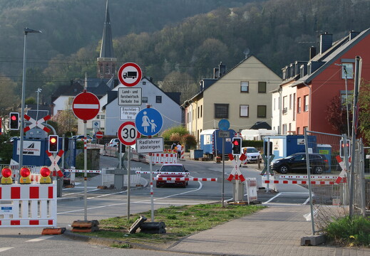 IMG 8520