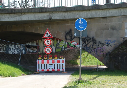 IMG 8779