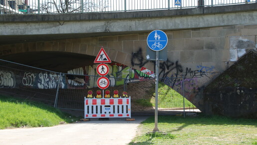 IMG 8779