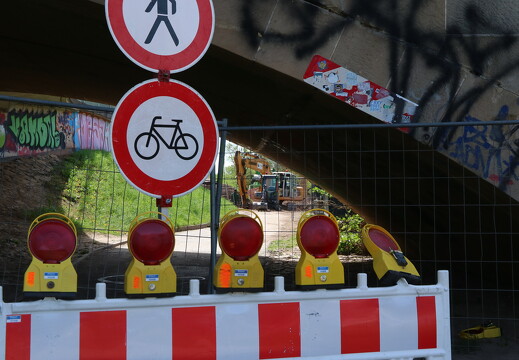 IMG 8781