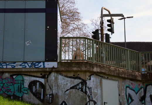 buntes-trier