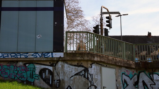 buntes-trier