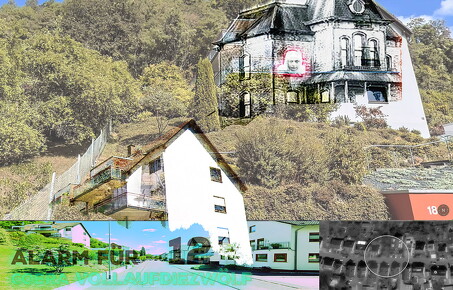 cobra-herrmannstreet