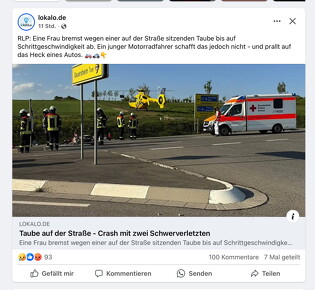 asozialemedien-lokal-120