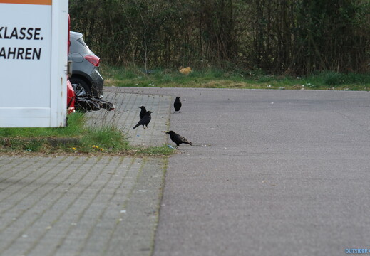 outsiderblog-IMG 8428