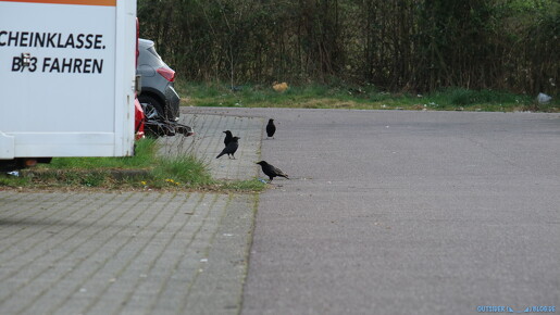 outsiderblog-IMG 8428