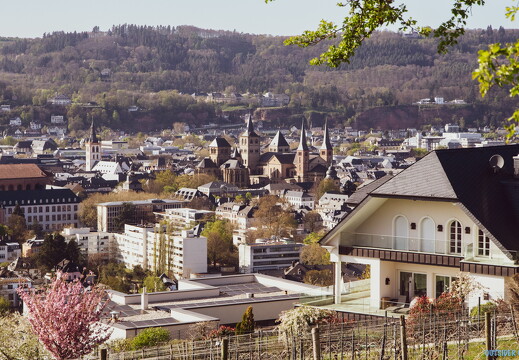 outsiderblog-IMG 9364