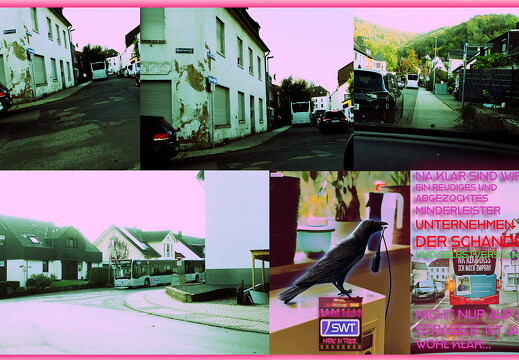 swt-arschloch-der-woche