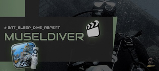museldiver-artwork LR-21-0021